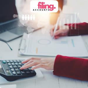 Preparing micro entity accounts for a small UK company.