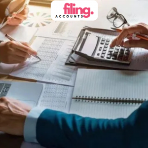 Filing a CS01 confirmation statement for a UK limited company.